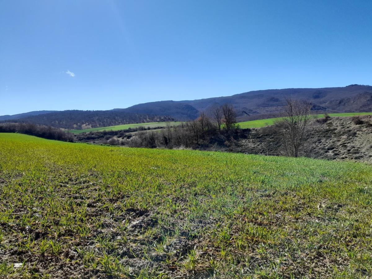 Maitia Villa Larraona Екстериор снимка